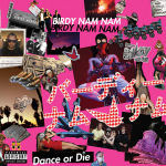 Birdy Nam Nam Dance Or Die
