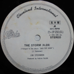 Jim Steinman / Bad For Good (LP+7" Vinyl Single)