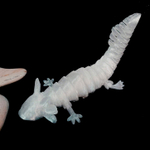 Аксолотль гибкая сегментная подвижная игрушка, 18 см., 3D печать, белая
