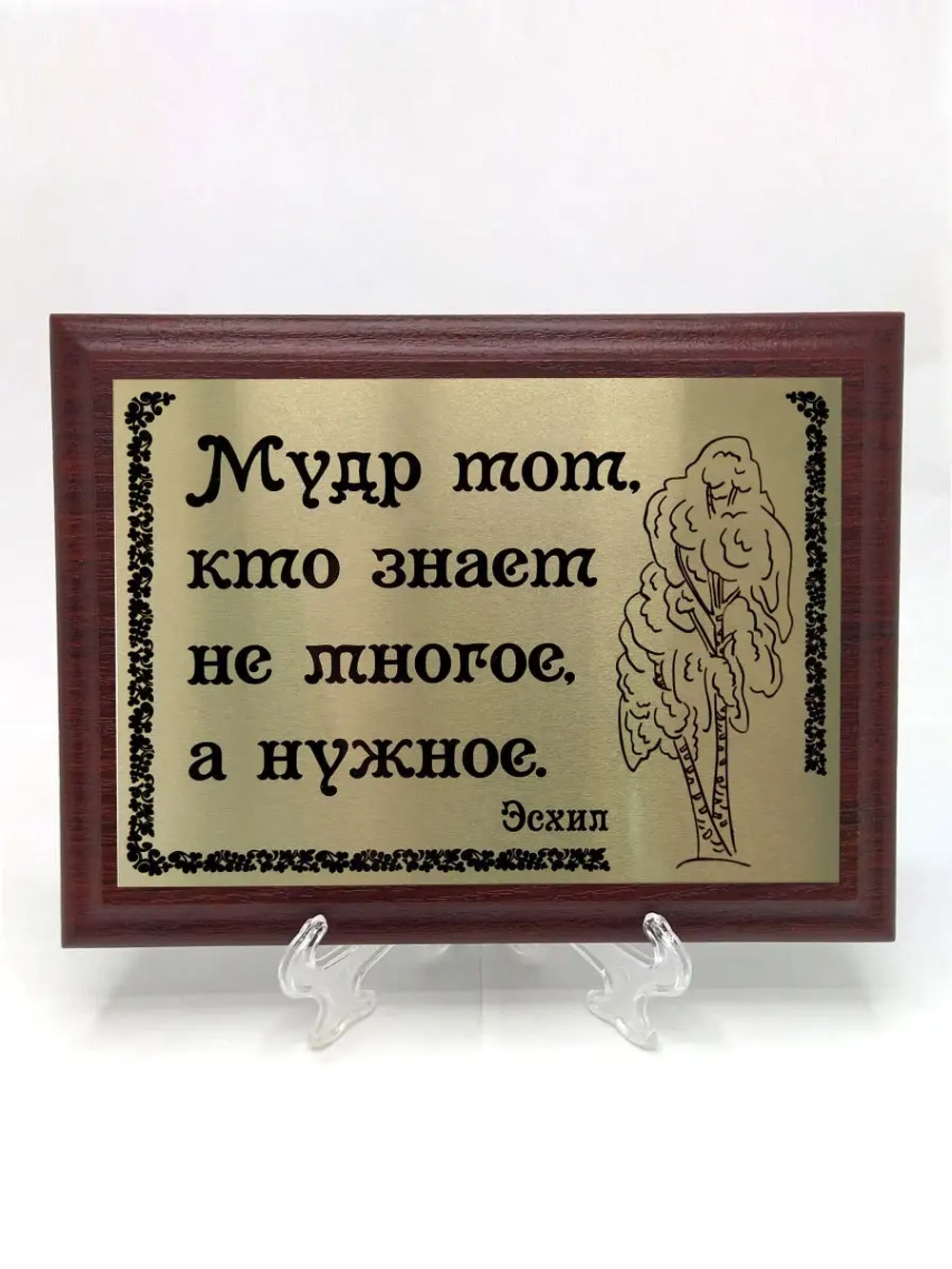 Плакетка сувенир с цитатами "Мудр не тот кто знает много"