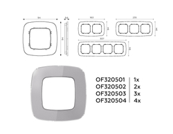 OF320501 Рамка OMEGA Radian (Сталь Стекло органическое) 1-ая