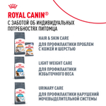 Royal Canin Hairball Care Хэйрболл Кэа Корм сухой для взрослых кошек профилактика образования волосяных комочков 400г