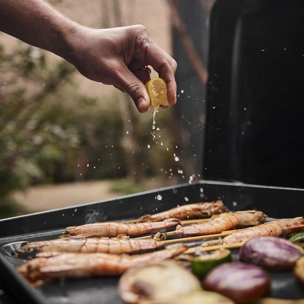 Газовый гриль Weber Weber Slate GP Premium, 43 см