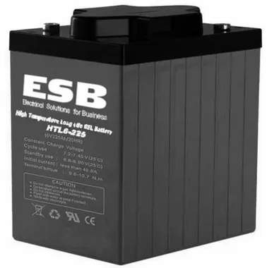 Аккумуляторы ESB HTL6-225 - фото 1