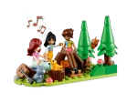 Конструктор LEGO Friends 41735 Маленький передвижной домик