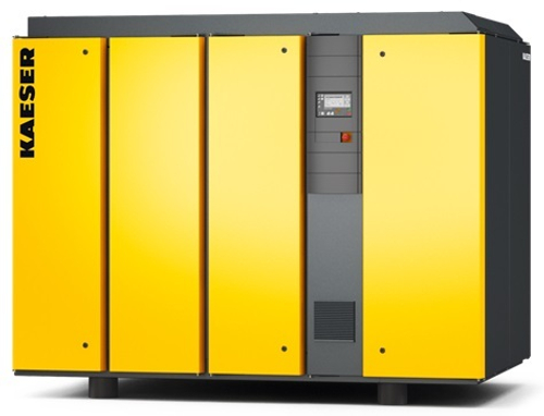 Винтовой компрессор Kaeser DSG 290-2 6