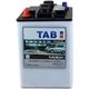 Аккумулятор TAB Motion Golf Cart TS 8380967 ( 6V 210Ah / 6В 210Ач ) - фото 1