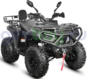 Бензиновый квадроцикл WHITE SIBERIA BARS 250 CC - Чёрный фото №2
