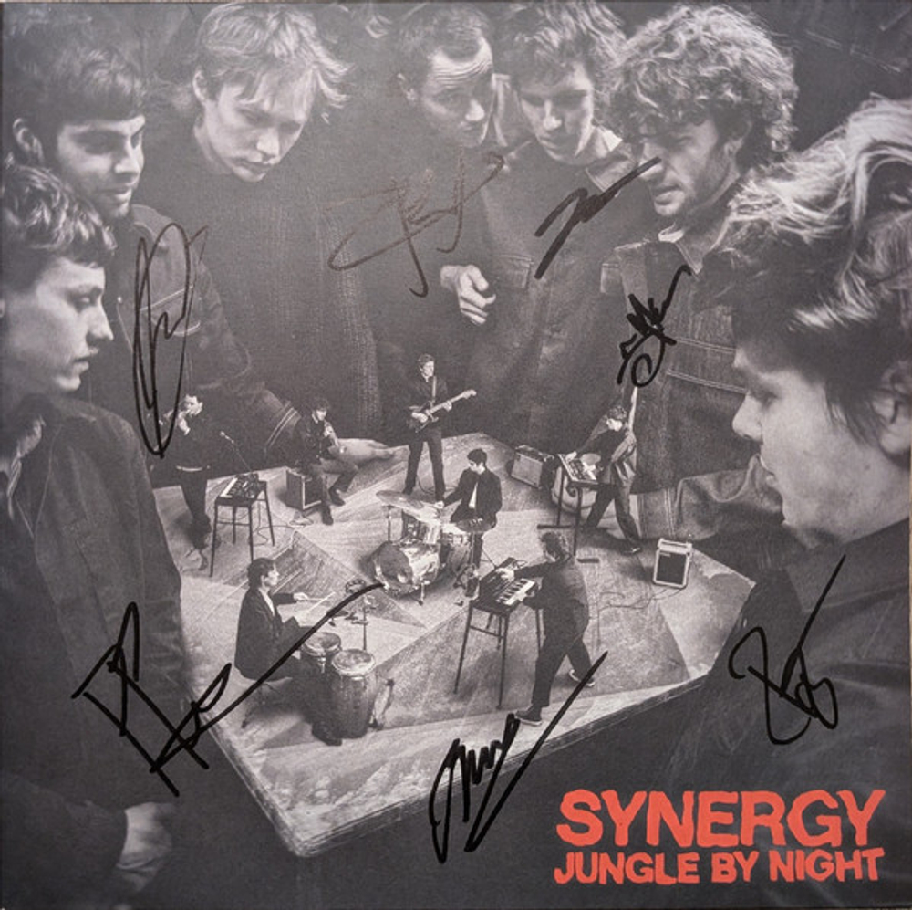 Jungle By Night - Synergy