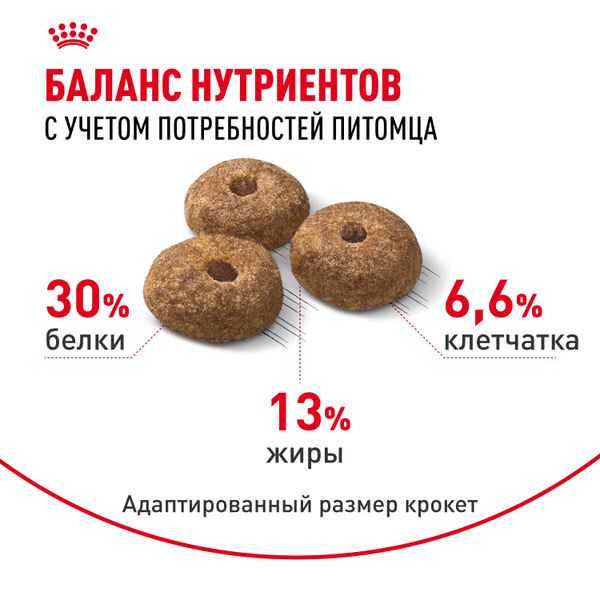 Сухой корм Royal Canin Mini Sterilised для взрослых стерилизованных собак мелких размеров, склонных к набору веса