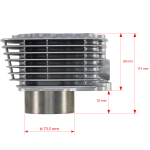 Цилиндро-поршневая группа 4T двиг. CG250 d-67, p-16 (тефлон) SM-PARTS