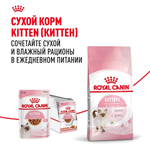 Кусочки в соусе, 85г влажный корм для котят до 12 месяцев Royal Canin Kitten