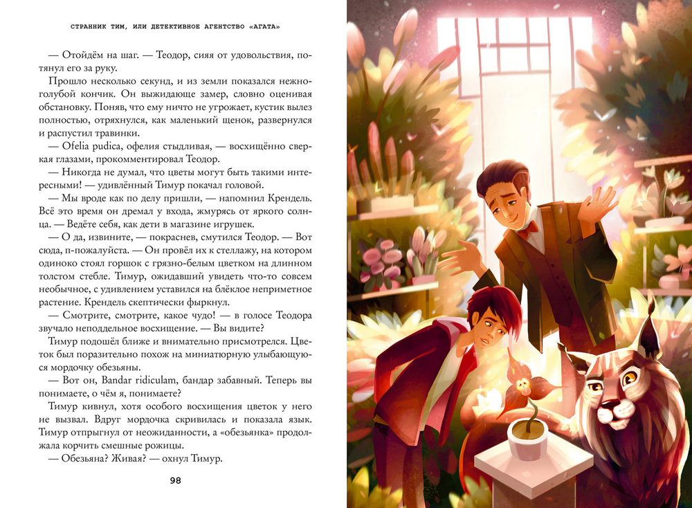 Странник Тим, или Детективное агентство «Агата»