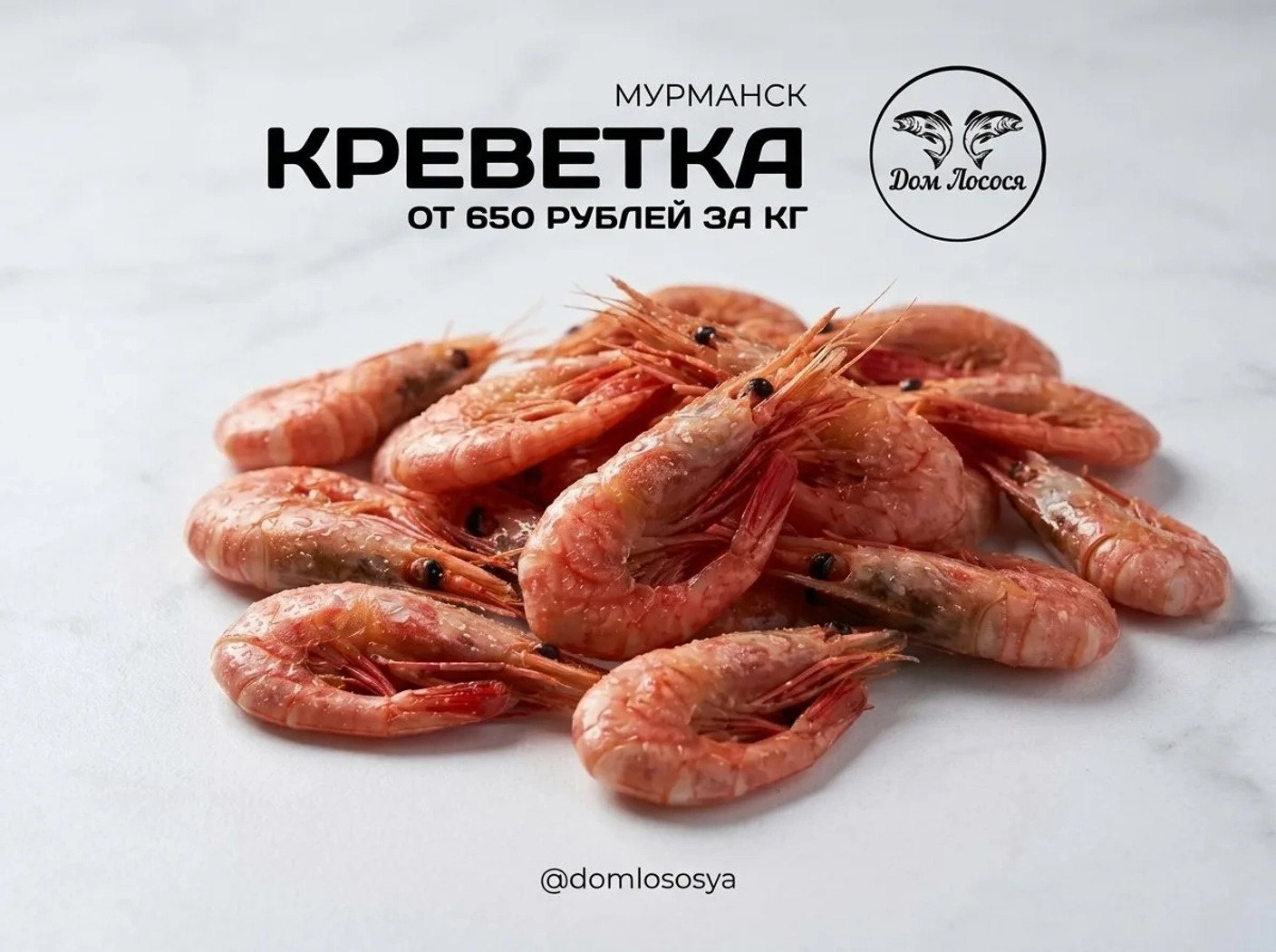 Креветка Мурманская от 650 рублей!