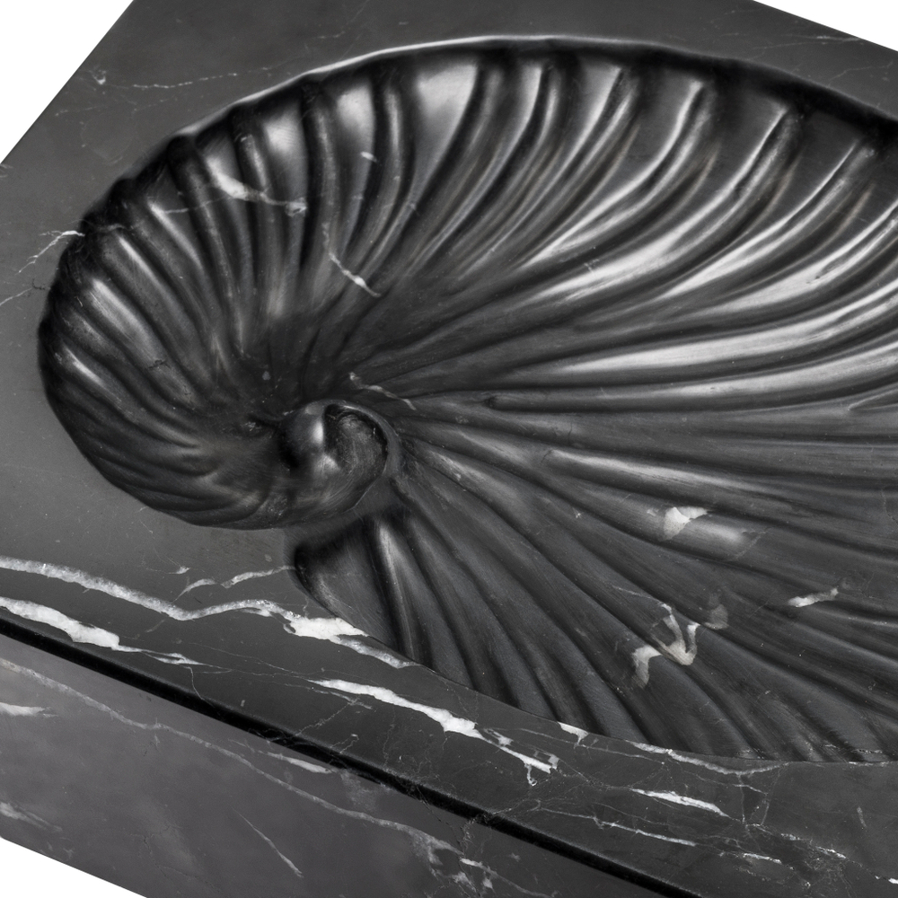 Декор Object Conchiglia арт.113692