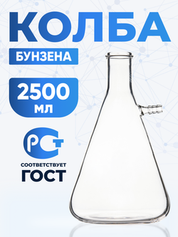 Колба Бунзена 2500 мл (с тубусом) 1-2500, с цилиндрической горловиной