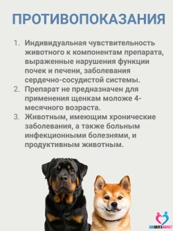 Фениквантел 100мг антигельминтный препарат для собак от 8 кг, 5 таб.