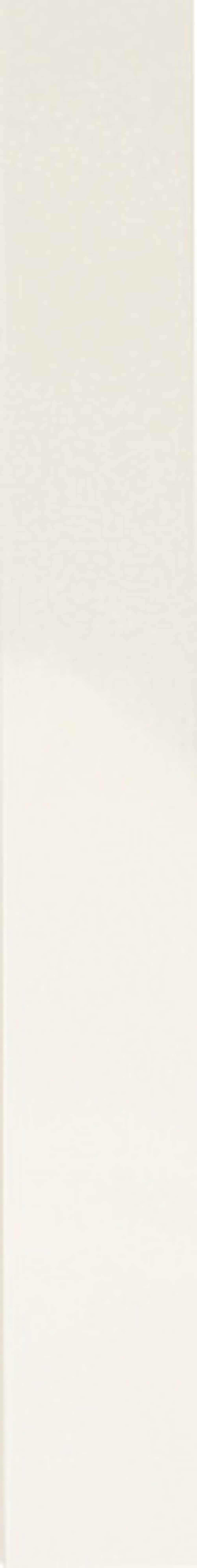 Керамическая плитка для стен WOW FACES Liso White Gloss 5х40