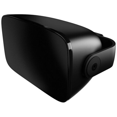 Всепогодная акустика Bowers & Wilkins AM-1, Black