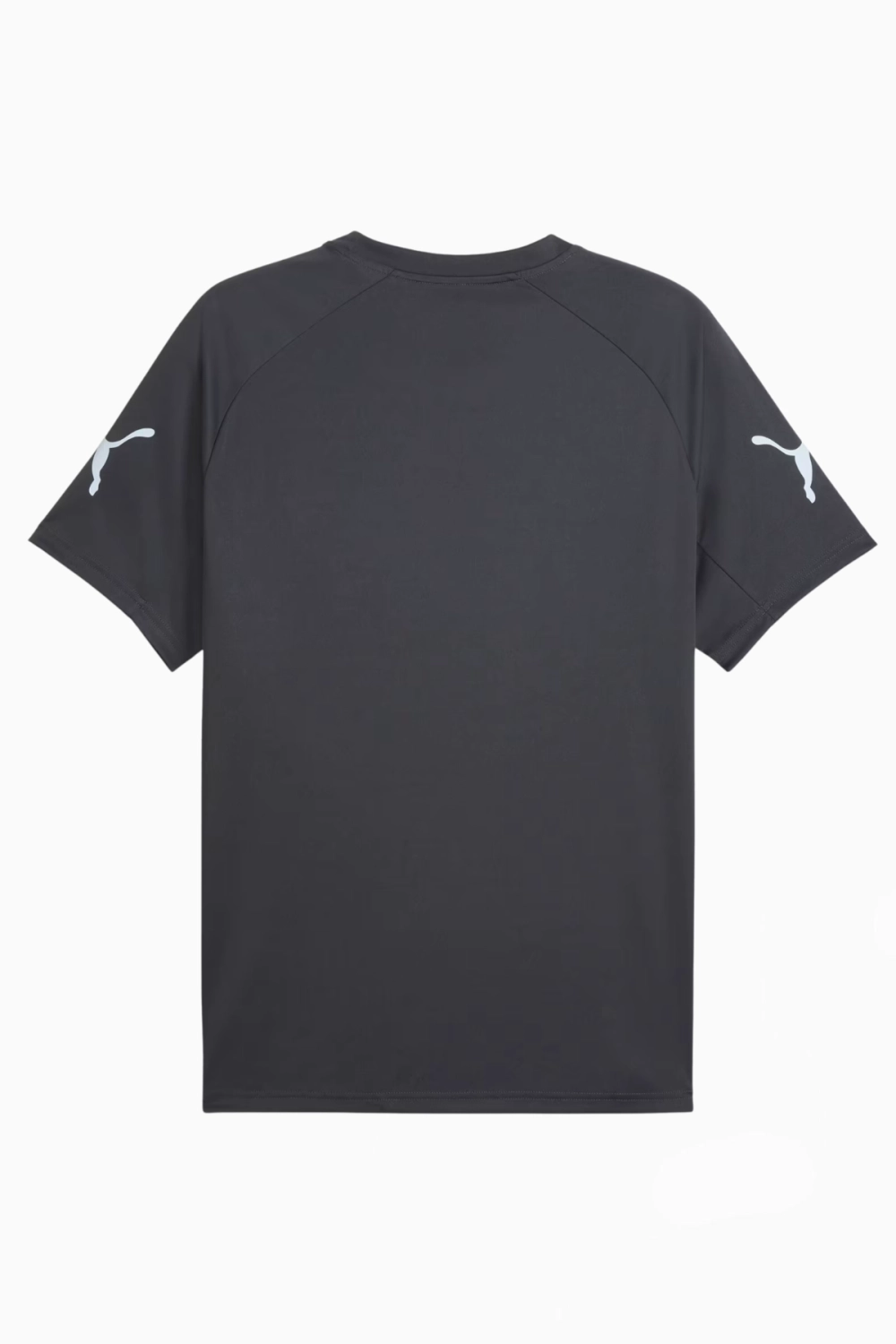 Футболка Puma individualLIGA Graphic - серый
