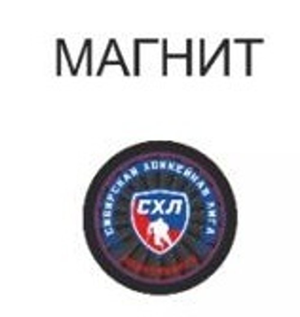 Магнит-шайба СХЛ