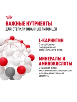 Sterilised 37 Корм для кошек 4 кг
