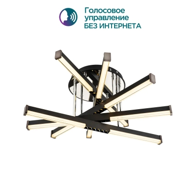 Потолочный светильник MODELIGHT MDL.9371.600CL BK