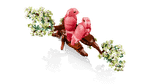 Конструктор LEGO Ideas 21365 Love Birds