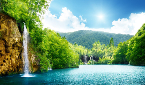 Природа 2 №49 Фотообои и Фрески ручной работы