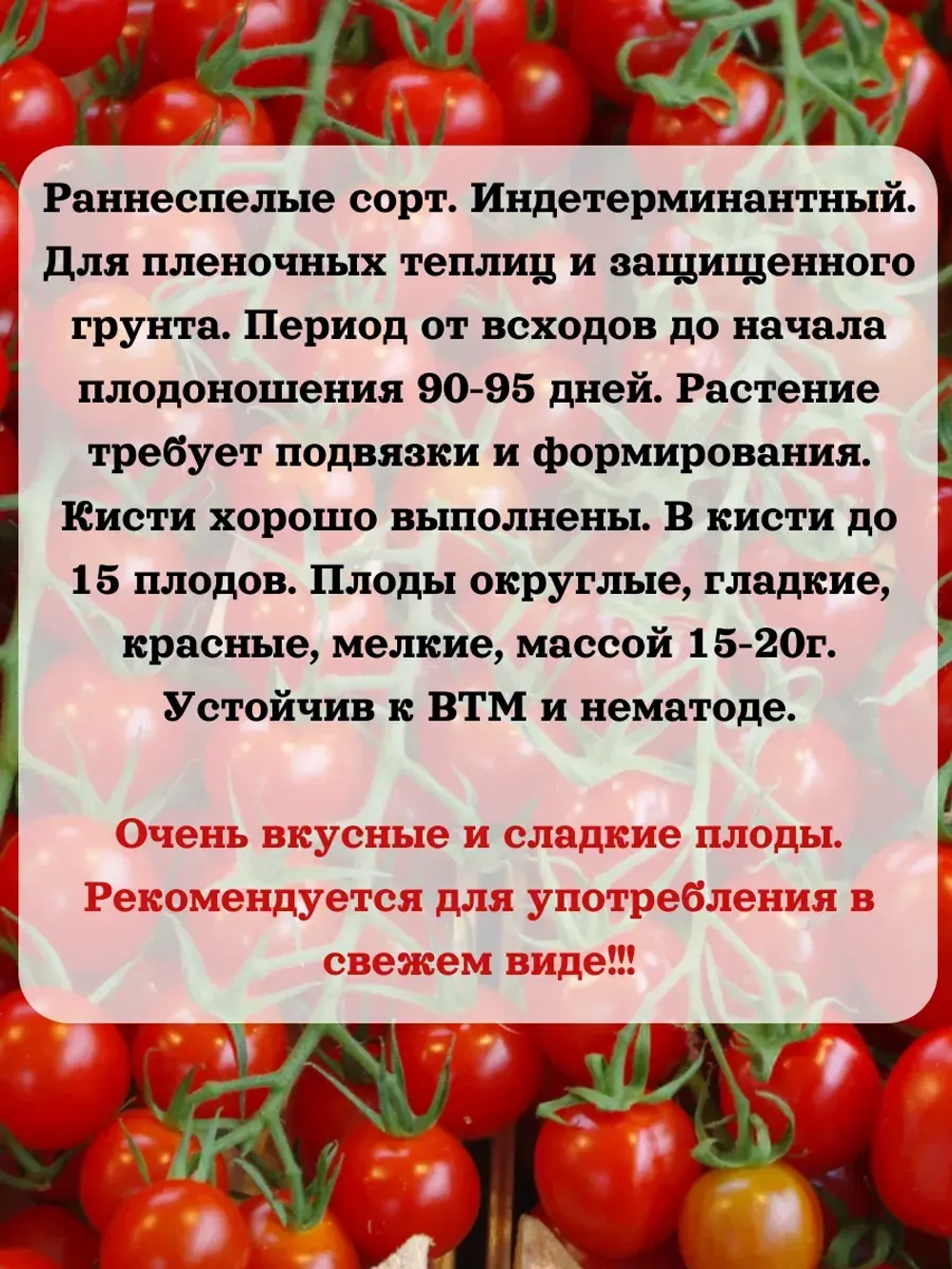 Семена Томат Дюймовочка Черри 0.2 гр