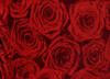 Зонт-трость Pasotti 18950884 Bouquet di Rose