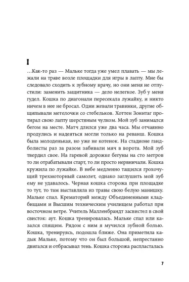 Кошки-мышки