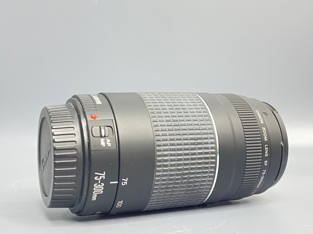 Canon EF 75-300mm 4-5.6 III