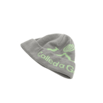 Шапка Called a Garment Pathway Logo "Grey-Mint"