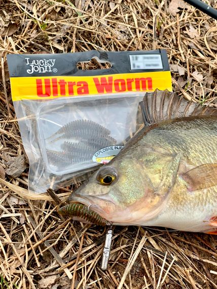 Слаги съедобные LJ Pro Series TRICK ULTRAWORM 1,4in (3,5 см), цв. PA03, 12 шт.
