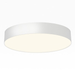Накладной светильник Citilux BART CL755390