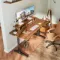 EUREKA GIP 60 Walnut