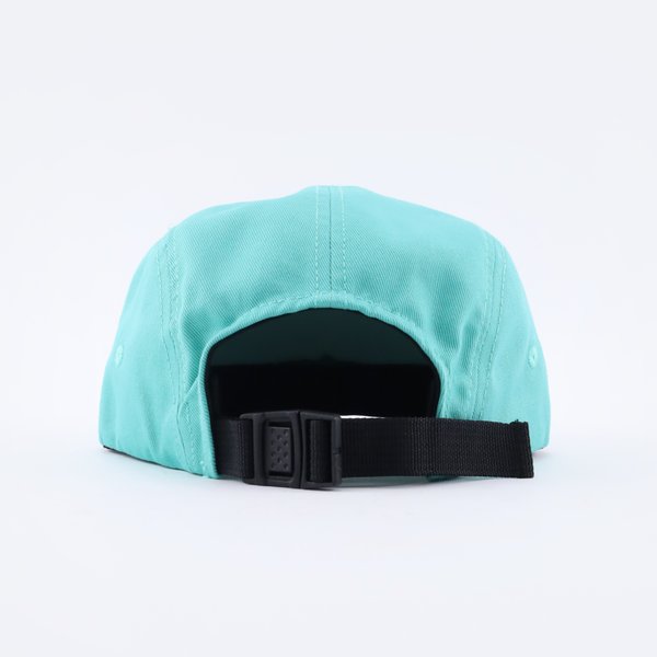 Кепка Anteater 5Panel (mint) артикул: - купить в магазине Дайс