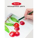 Карандаши цветные трёхгранные 24цв. Гамма Мультики new