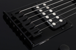 SCHECTER PT-M/M BLACK