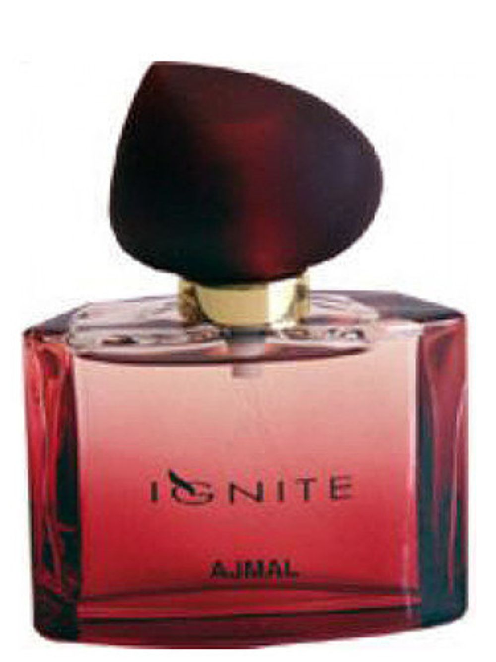 Ajmal Ignite