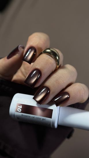 Brownie cat color gel 10g 10 Iperfect