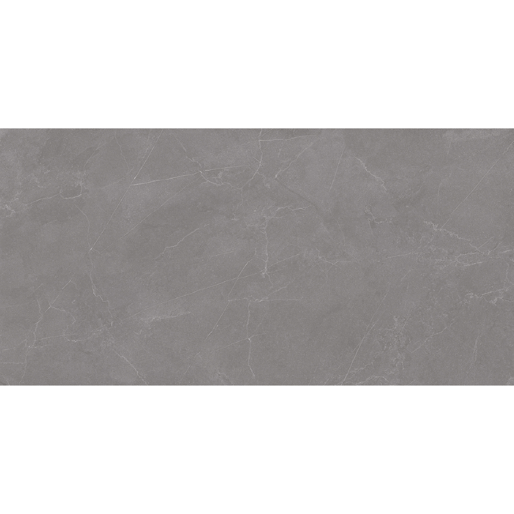 VALENCIA GREY 60x120 MATT