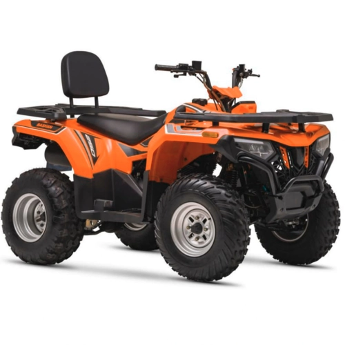 Квадроцикл Bashan BS200AU-19 зеленый