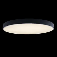 Потолочный светильник Axel 10002/48 Black Loft It