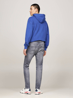 Джинсы AUSTIN Tommy Jeans - серый(DM0DM20391)