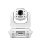 Color Imagination LEDSPOT-300LW