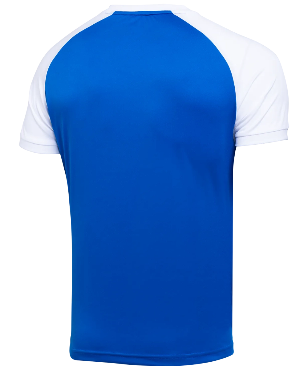 Футболка игровая CAMP Reglan Jersey, синий/белый, детский