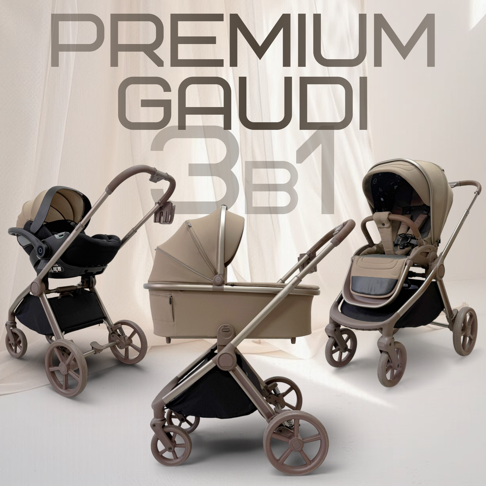 Модульная коляска BubaGO Gaudi 3в1