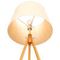 Настольная лампа Loft IT Natural Loft7112T